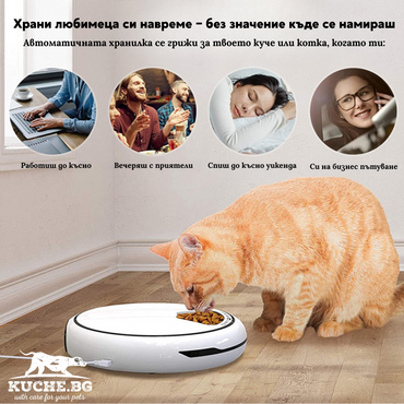 Автоматична хранилка за кучета и котки с таймер, позволяваща хранене при всякакви обстоятелства.