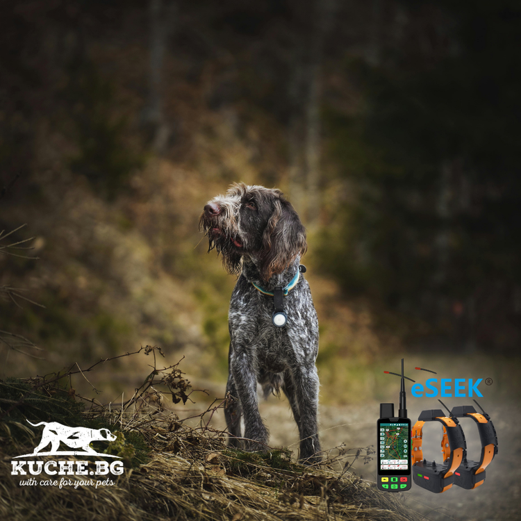 ESEEK GPS устройство за ловно куче, джипиес есиийк е хибриден модел който работи на VHF и 4G мрежа