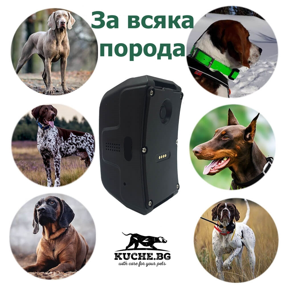 GPS за кучета Icar IK 122 PRO 2G с изображения на различни породи кучета.