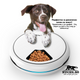 Автоматична хранилка за куче: спокоен режим у дома и нула пропуснати порции, куче до електронна хранилка, лежащо щастливо.