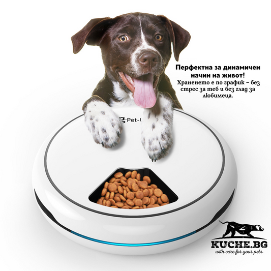 Автоматична хранилка за куче: спокоен режим у дома и нула пропуснати порции, куче до електронна хранилка, лежащо щастливо.