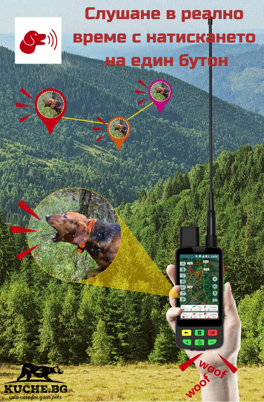 GPS за ловно куче: тракери за ловни кучета, обхват и реално време