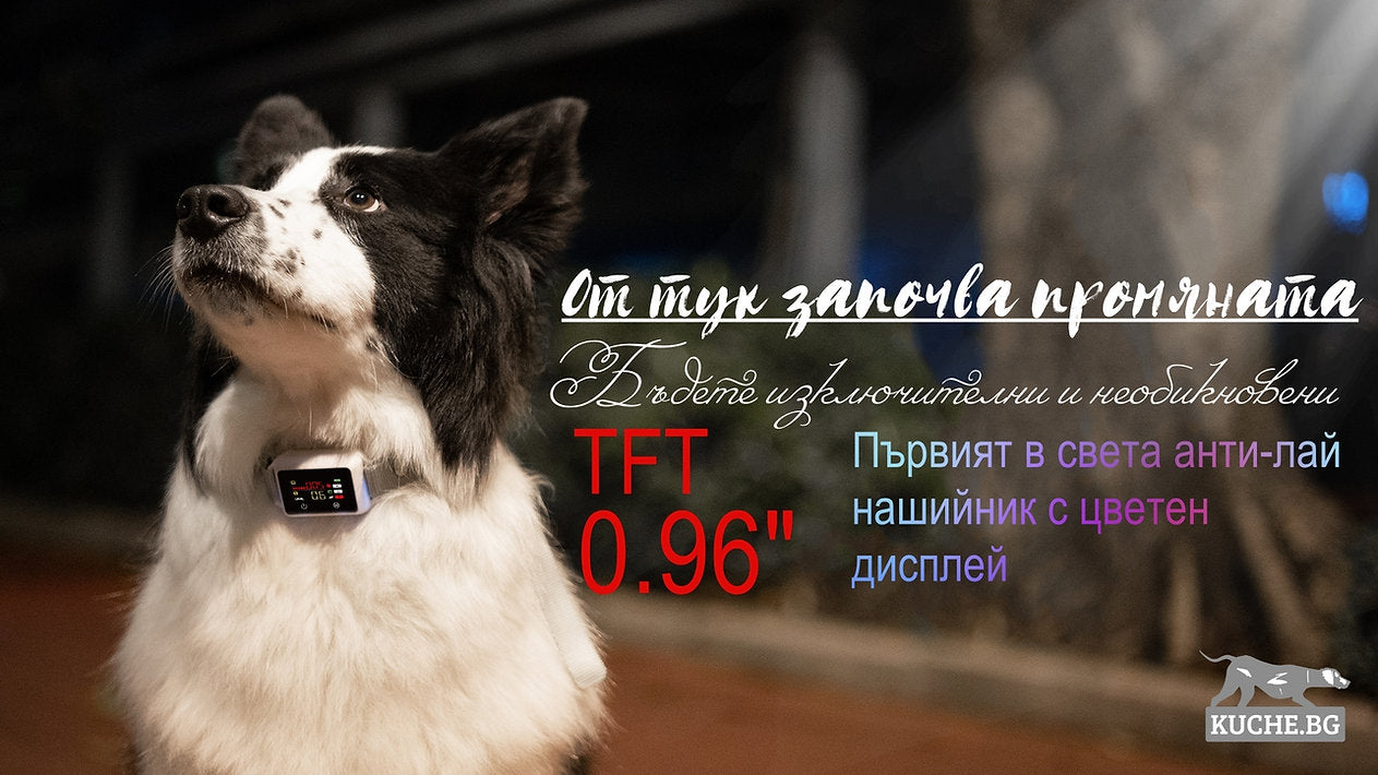Антилай нашийник B800 с цветен TFT дисплей, интелигентен контрол на лая, стилен дизайн и безопасно решение.