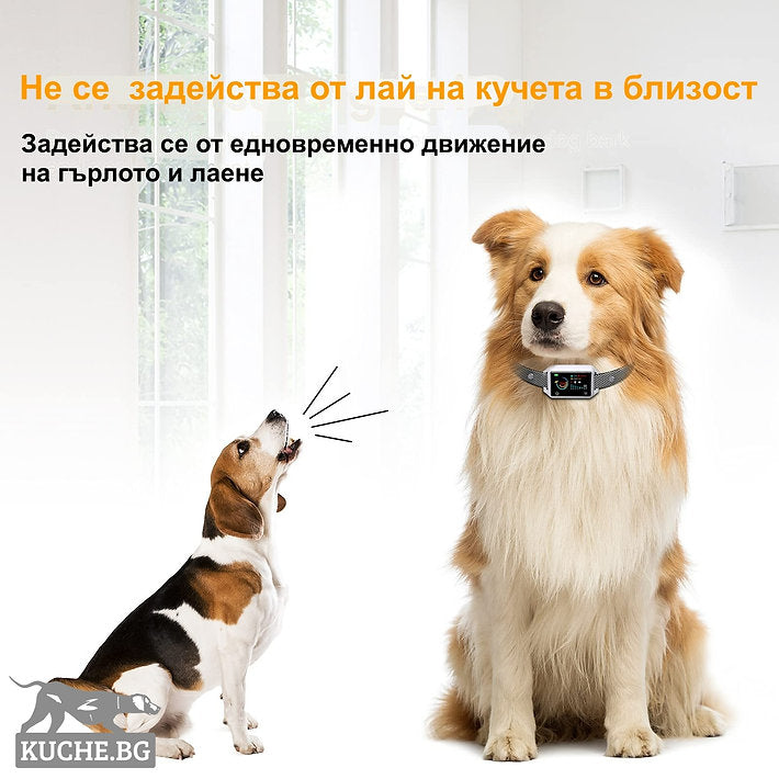 Антилай нашийник B800 предотвратява лая на кучета с интелигентна технология и TFT дисплей.