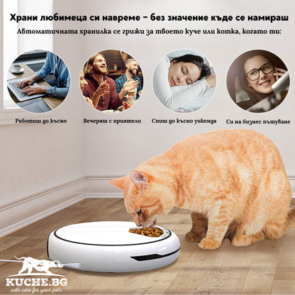 Автоматична хранилка за кучета и котки с таймер, позволяваща хранене при всякакви обстоятелства.
