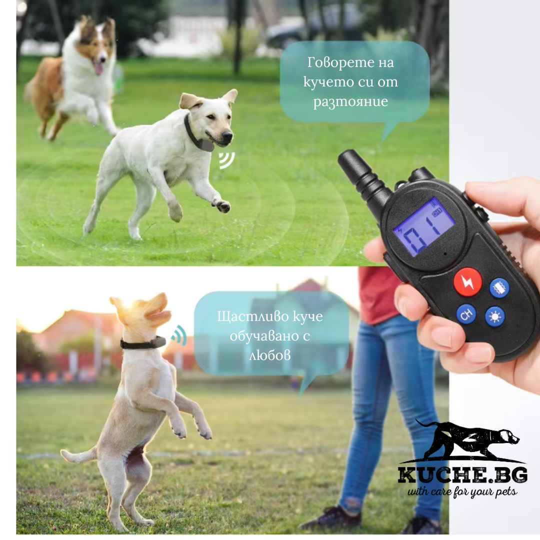 Електронен нашийник за куче с Walkie-Talkie за дистанционно обучение на кучета с функция за гласова комуникация.