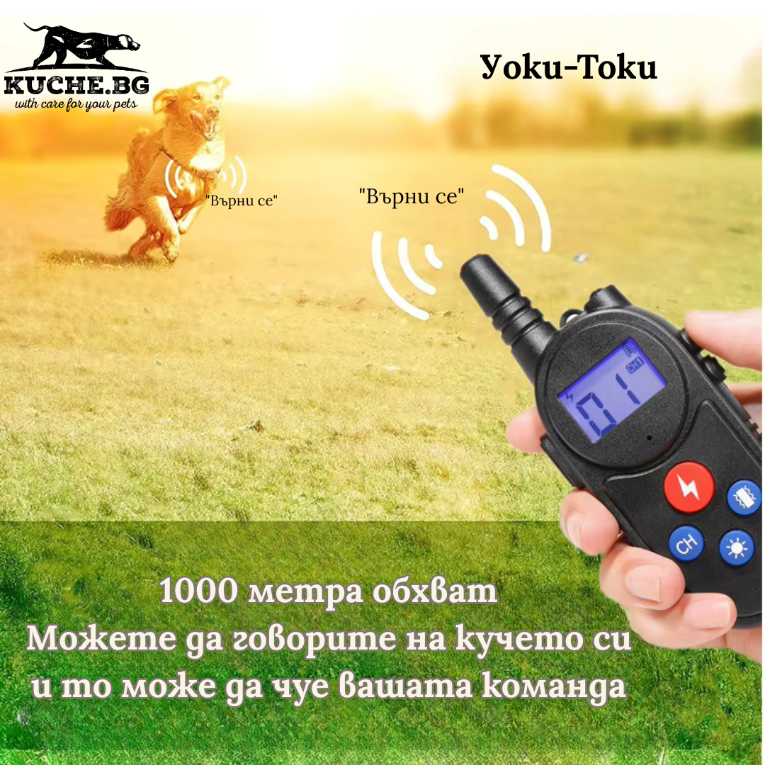 Електронен нашийник за куче с Walkie-Talkie, обхват 1000 метра, позволяващ комуникация.