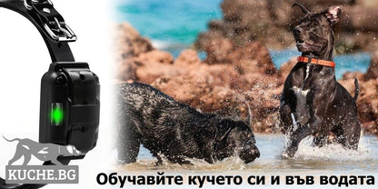 Електронен нашийник за куче за обучение Телетакт T430.