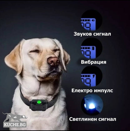 Електронен нашийник за куче за обучение със звуков сигнал, вибрация, електро импулс и светлинен сигнал.