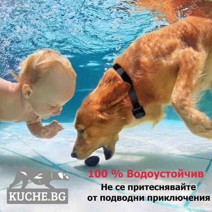 Електронен нашийник за куче, 100% водоустойчив и безопасен.