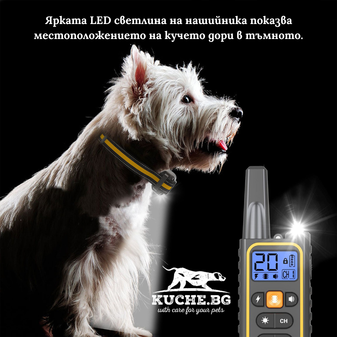 Ярка LED светлина на електронен нашийник за кучета Телетакт T431, показваща местоположението в тъмното.