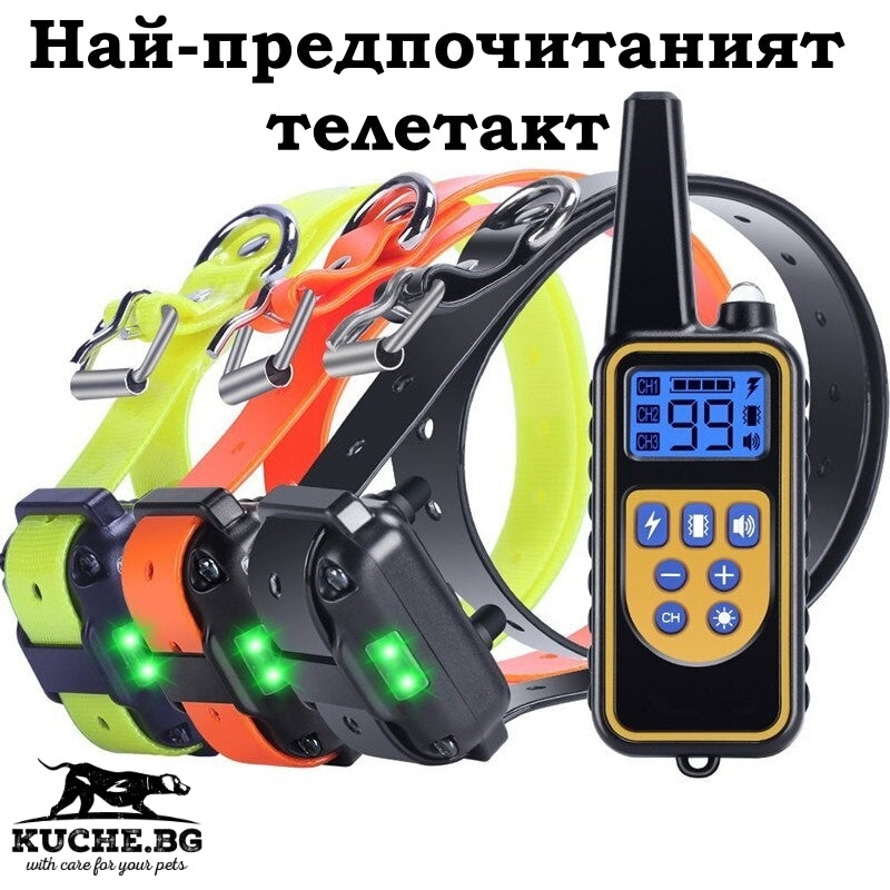 Електронен нашийник телетакт за обучение на три кучета