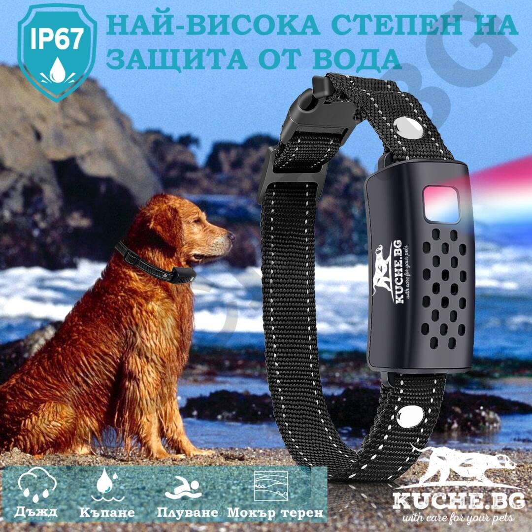 Електронен нашийник RS3 за кучета с IP67 водоустойчивост, идеален за обучение и контрол на активни любимци.