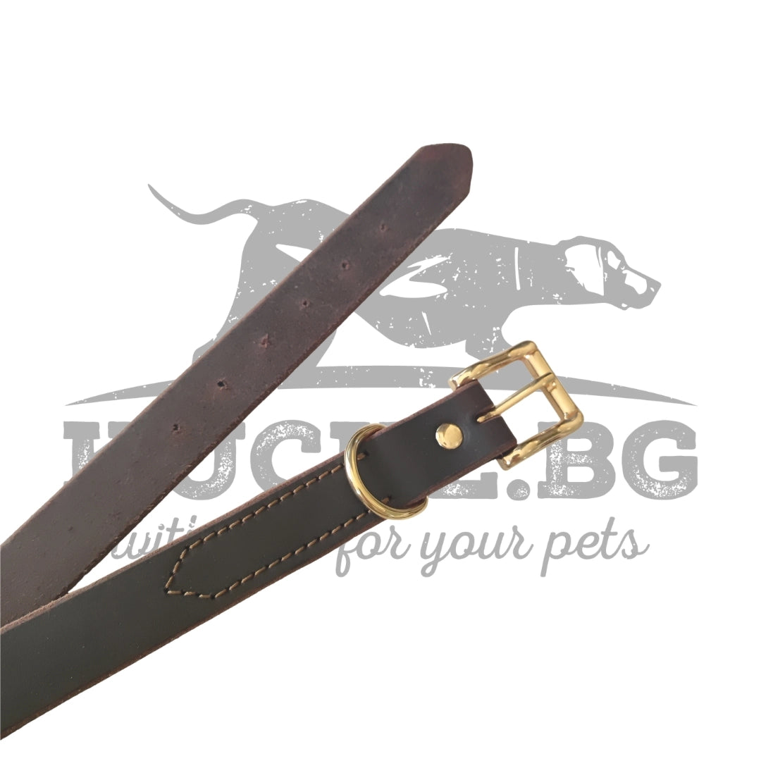 Кожен нашийник за куче от естествена кожа със златиста закопчалка, D-образен пръстен и подсилени шевове