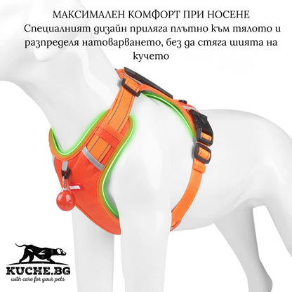 Комфортен нагръдник за куче, който приляга плътно и не стяга врата