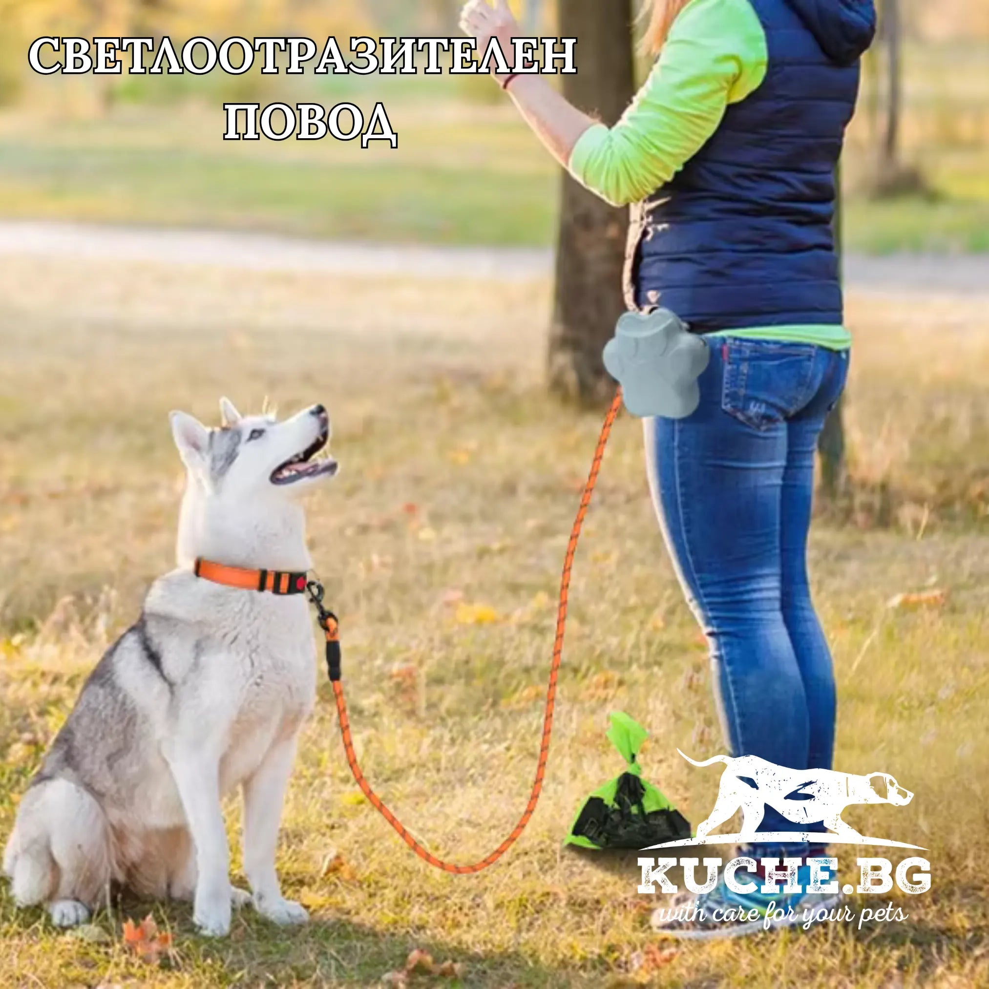 Оранжев светлоотразителен повод за куче по време на разходка на открито