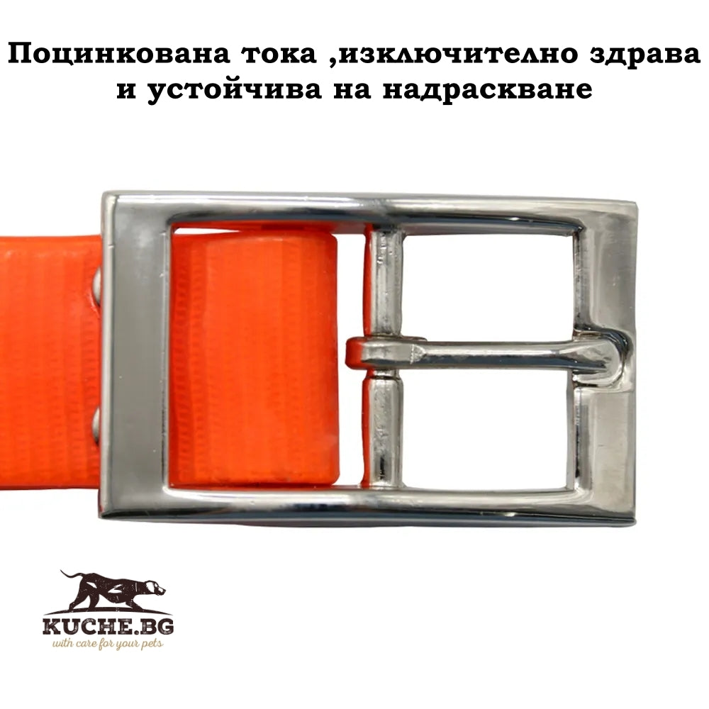 Метална каишка с поцинкована точка, здрава и устойчива на надраскване за кучета в ярки цветове.