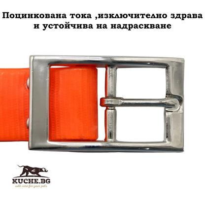 Метална каишка с поцинкована точка, здрава и устойчива на надраскване за кучета в ярки цветове.