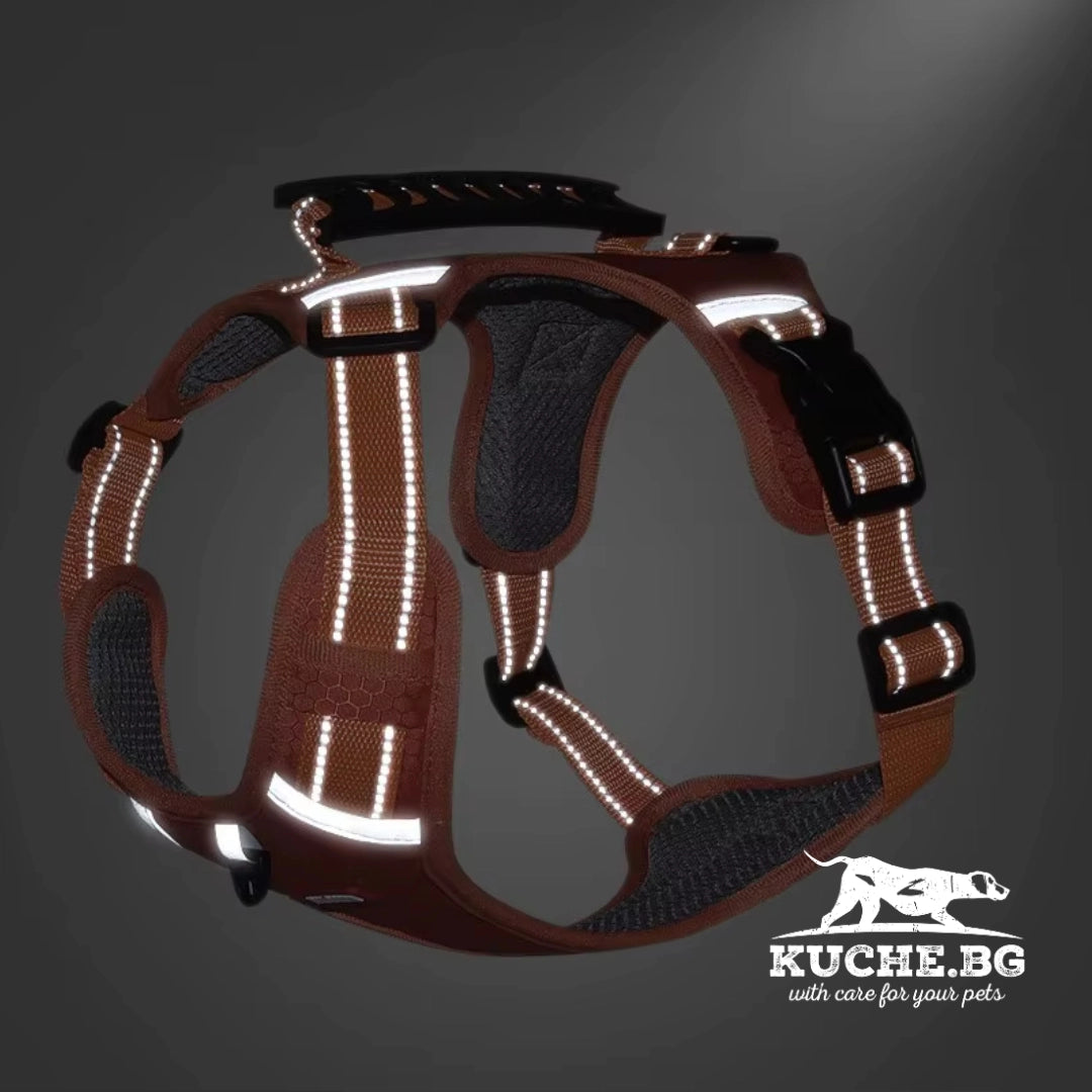 Светлоотразителен нагръдник за куче за по-добра видимост и безопасност при вечерна разходка